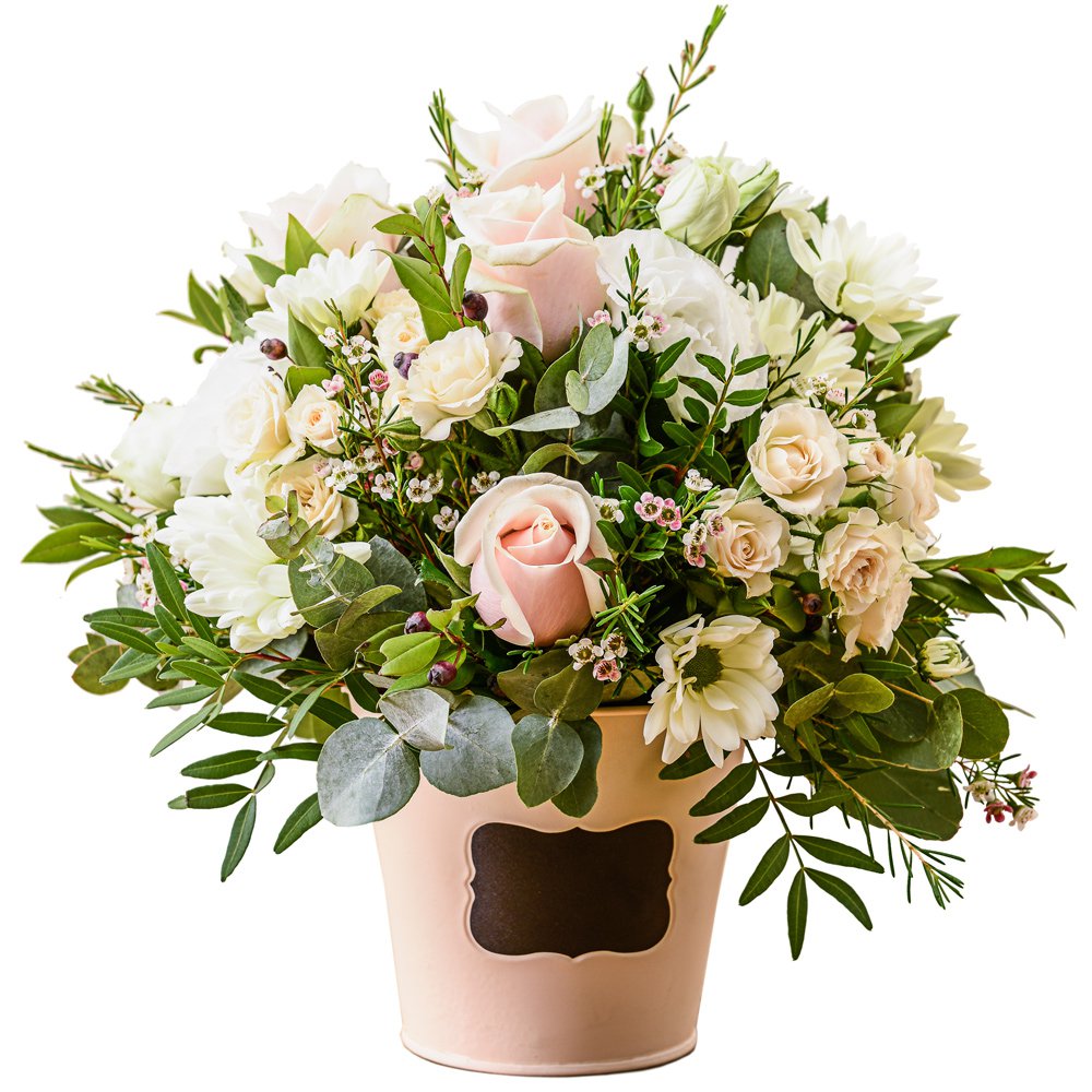 Dawn Oasis Arrangement