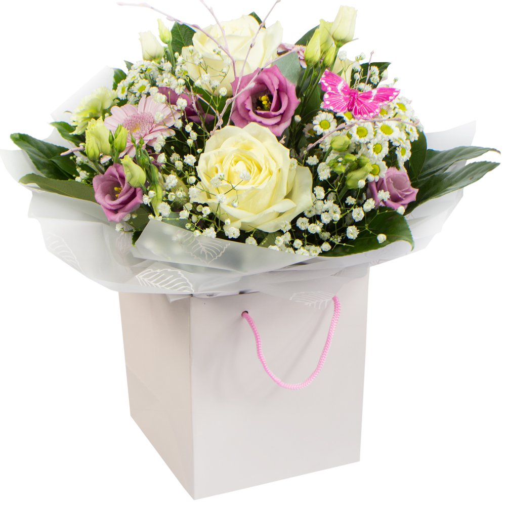 Zoe Handtied Aquabox